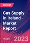 Gas Supply in Ireland - Industry Market Research Report - Product Image