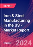 Iron & Steel Manufacturing in the US - Industry Market Research Report- Product Image