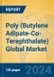 Poly (Butylene Adipate-Co-Terephthalate) Global Market Insights 2024, Analysis and Forecast to 2029, by Manufacturers, Regions, Technology, Application - Product Thumbnail Image