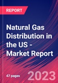 Natural Gas Distribution in the US - Industry Market Research Report- Product Image