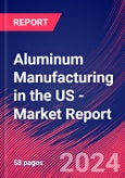 Aluminum Manufacturing in the US - Industry Market Research Report- Product Image