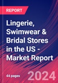Lingerie, Swimwear & Bridal Stores in the US - Industry Market Research Report- Product Image