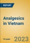 Analgesics in Vietnam - Product Image