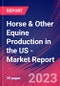 Horse & Other Equine Production in the US - Industry Market Research Report - Product Image