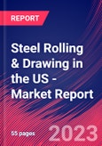 Steel Rolling & Drawing in the US - Industry Market Research Report- Product Image