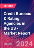 Credit Bureaus & Rating Agencies in the US - Industry Market Research Report- Product Image