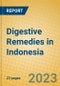 Digestive Remedies in Indonesia - Product Image