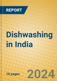 Dishwashing in India- Product Image