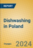 Dishwashing in Poland- Product Image