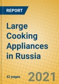 Large Cooking Appliances in Russia- Product Image