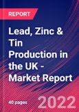 Lead, Zinc & Tin Production in the UK - Industry Market Research Report- Product Image