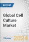 Global Cell Culture Market by Product (Consumables (Media, Sera, Reagents), Vessels (Roller Bottle, Cell Factory, Flask), Equipment (SU Bioreactor, Storage, Incubators, Filtration)), Application (mAbs, Vaccines, Regenerative Medicine) - Forecast to 2029 - Product Thumbnail Image