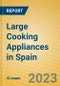 Large Cooking Appliances in Spain - Product Image
