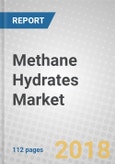 Methane Hydrates: Applications and Global Markets Through 2023- Product Image