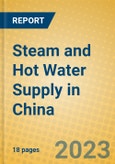 Steam and Hot Water Supply in China- Product Image
