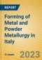 Forming of Metal and Powder Metallurgy in Italy - Product Image