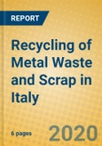 Recycling of Metal Waste and Scrap in Italy- Product Image