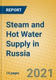 Steam and Hot Water Supply in Russia- Product Image