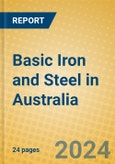 Basic Iron and Steel in Australia- Product Image