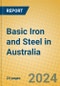 Basic Iron and Steel in Australia - Product Image