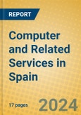 Computer and Related Services in Spain- Product Image