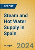 Steam and Hot Water Supply in Spain- Product Image
