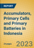 Accumulators, Primary Cells and Primary Batteries in Indonesia: ISIC 314- Product Image