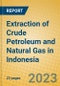 Extraction of Crude Petroleum and Natural Gas in Indonesia: ISIC 11 - Product Image