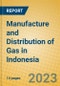 Manufacture and Distribution of Gas in Indonesia: ISIC 402 - Product Image