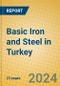 Basic Iron and Steel in Turkey - Product Image