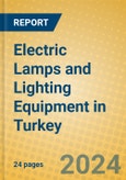 Electric Lamps and Lighting Equipment in Turkey- Product Image