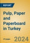 Pulp, Paper and Paperboard in Turkey - Product Image