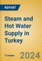 Steam and Hot Water Supply in Turkey - Product Image