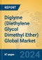 Diglyme (Diethylene Glycol Dimethyl Ether) Global Market Insights 2024, Analysis and Forecast to 2029, by Manufacturers, Regions, Technology, Application - Product Thumbnail Image