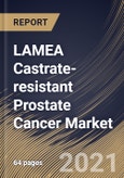 LAMEA Castrate-resistant Prostate Cancer Market By Therapy (Hormonal Therapy, Immunotherapy, Chemotherapy and Radiotherapy), By Country, Industry Analysis and Forecast, 2020 - 2026- Product Image