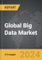 Big Data - Global Strategic Business Report - Product Thumbnail Image