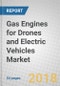 Gas Engines for Drones and Electric Vehicles: Global Markets Through 2023 - Product Thumbnail Image