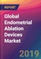 Global Endometrial Ablation Devices Market Size, Market Share, Application Analysis, Regional Outlook, Growth Trends, Key Players, Competitive Strategies and Forecasts, 2018 To 2026 - Product Thumbnail Image