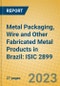 Metal Packaging, Wire and Other Fabricated Metal Products in Brazil: ISIC 2899 - Product Image