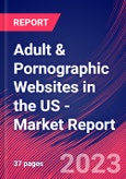 Adult & Pornographic Websites in the US - Industry Market Research Report- Product Image