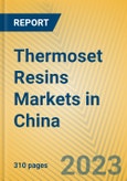 Thermoset Resins Markets in China- Product Image