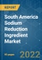 South America Sodium Reduction Ingredient Market - Growth, Trends, COVID-19 Impact, and Forecasts (2022 - 2027) - Product Thumbnail Image