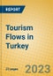 Tourism Flows in Turkey - Product Image
