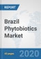 Brazil Phytobiotics Market: Prospects, Trends Analysis, Market Size and Forecasts up to 2025 - Product Thumbnail Image