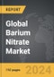 Barium Nitrate: Global Strategic Business Report - Product Thumbnail Image