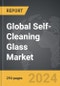 Self-Cleaning Glass - Global Strategic Business Report - Product Thumbnail Image