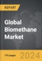 Biomethane - Global Strategic Business Report - Product Thumbnail Image