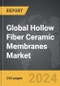 Hollow Fiber Ceramic Membranes - Global Strategic Business Report - Product Image