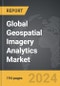 Geospatial Imagery Analytics - Global Strategic Business Report - Product Thumbnail Image