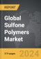 Sulfone Polymers - Global Strategic Business Report - Product Thumbnail Image